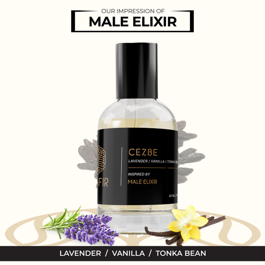 Cezbe - Inspired by Le Male Elixir