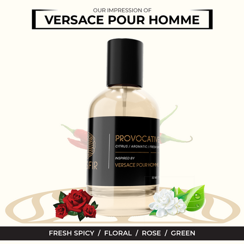 Provocative - Inspired by Versace Pour Homme